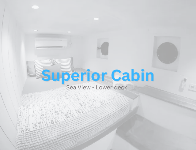Superior Cabin