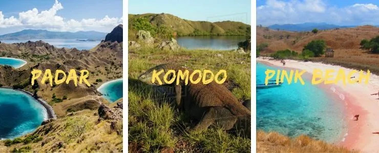 speed boat one day tour komodo